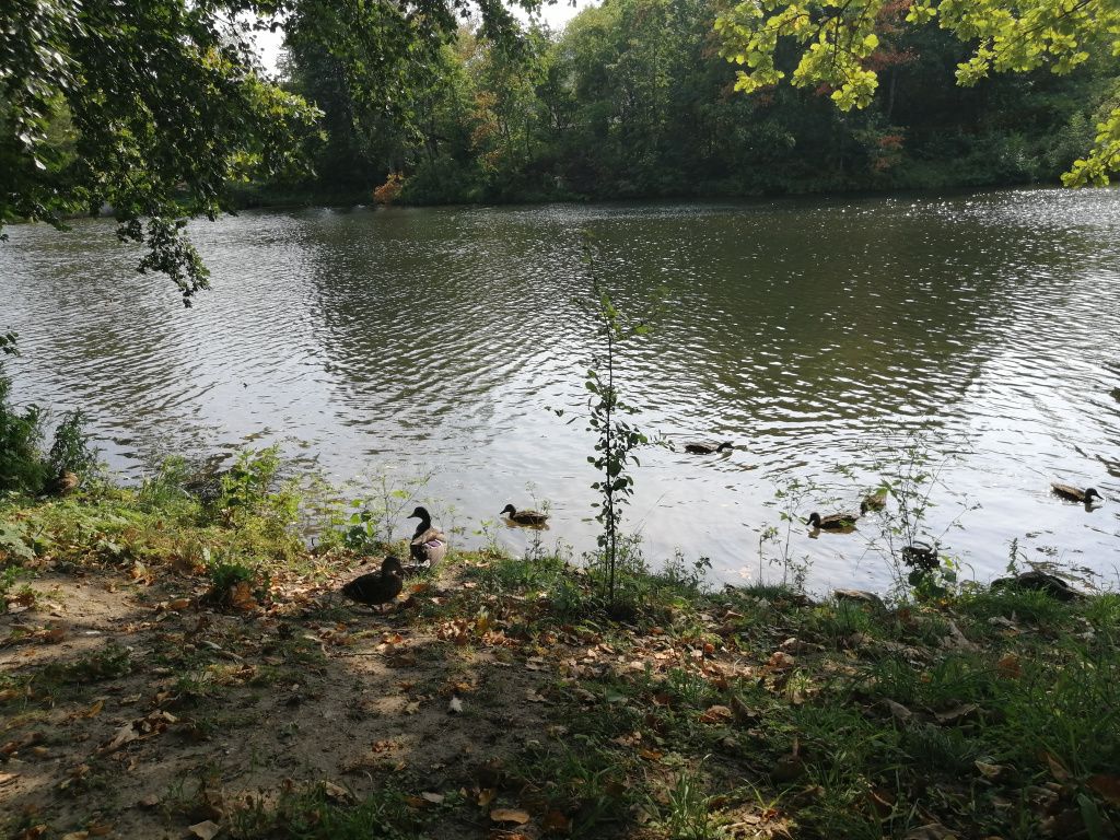IMG_20190822_143623.jpg IMG_20190822_143623.jpg